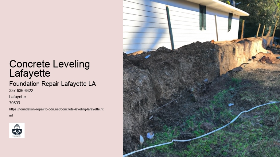 Cost Analysis: Investing in Foundation Repair vs. Long-Term Structural Damage Costs in Lafayette